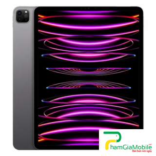 Thay Thế Sửa Chữa Hư Mất Imei iPad Pro 12.9 inch 2022 M2 Lấy Liền